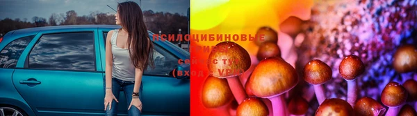 гидропоника Абаза