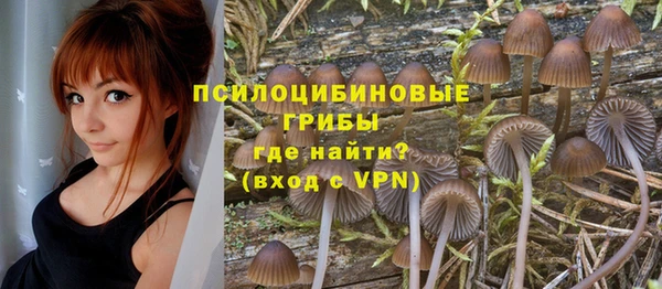 винт Абинск
