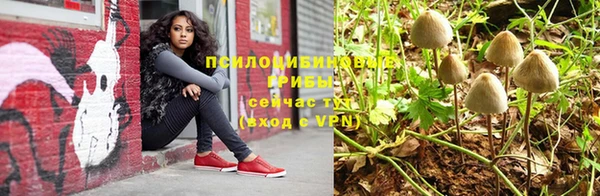 соль ск Абдулино