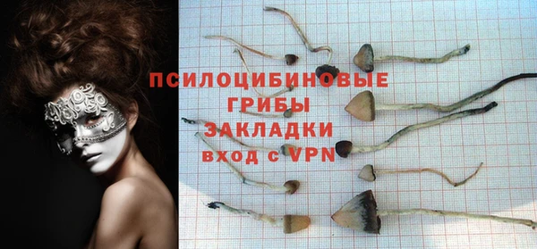 гидропоника Абаза