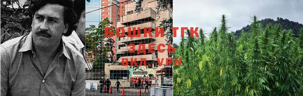 гидропоника Абаза
