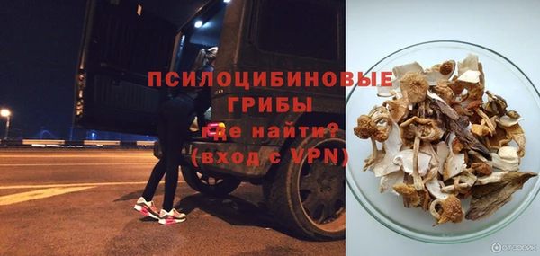 ешки Алзамай