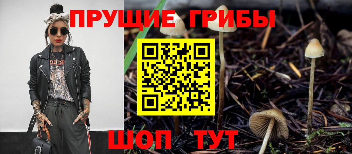 Псилоцибиновые грибы мухоморы Ливны