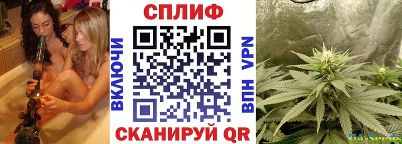 Каннабис White Widow наркошоп Ливны